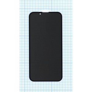 Купить Защитное стекло Privacy "Анти-шпион" для Apple iPhone 13 mini черное